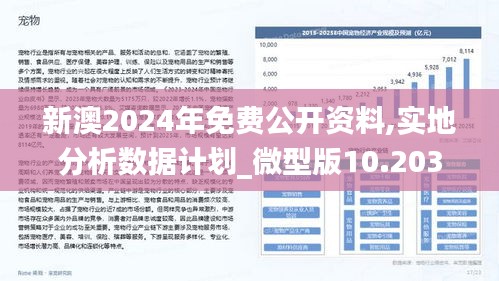 2024新澳精准资料免费|专业分析解释落实_专业版240.332