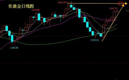 大力马线，超越200米的无限可能