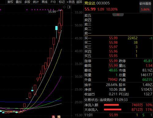 大力马做主线的优势与作为子线的潜力，探讨钓鱼线组的多元化应用