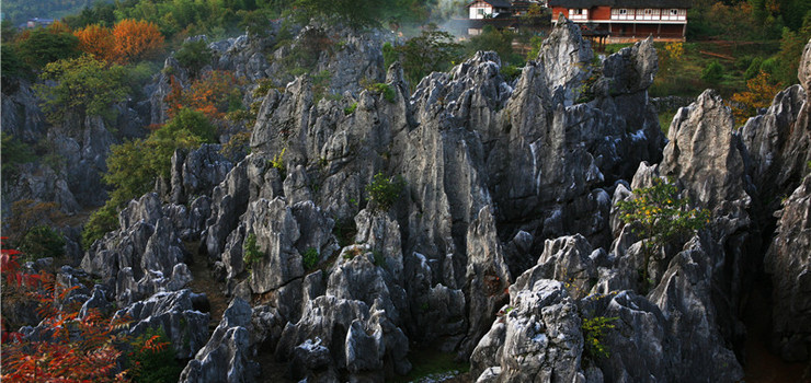 千岛湖石林景区地址，自然美景尽收眼底