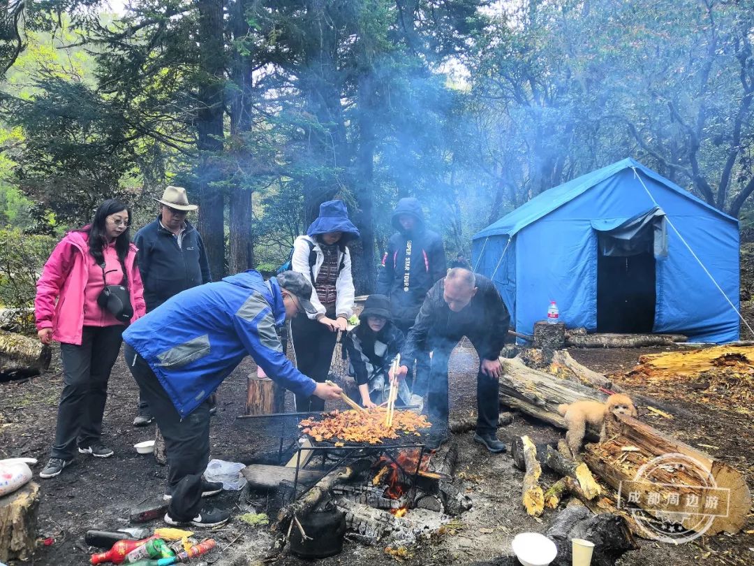 遇见森林露营烧烤遭遇检查